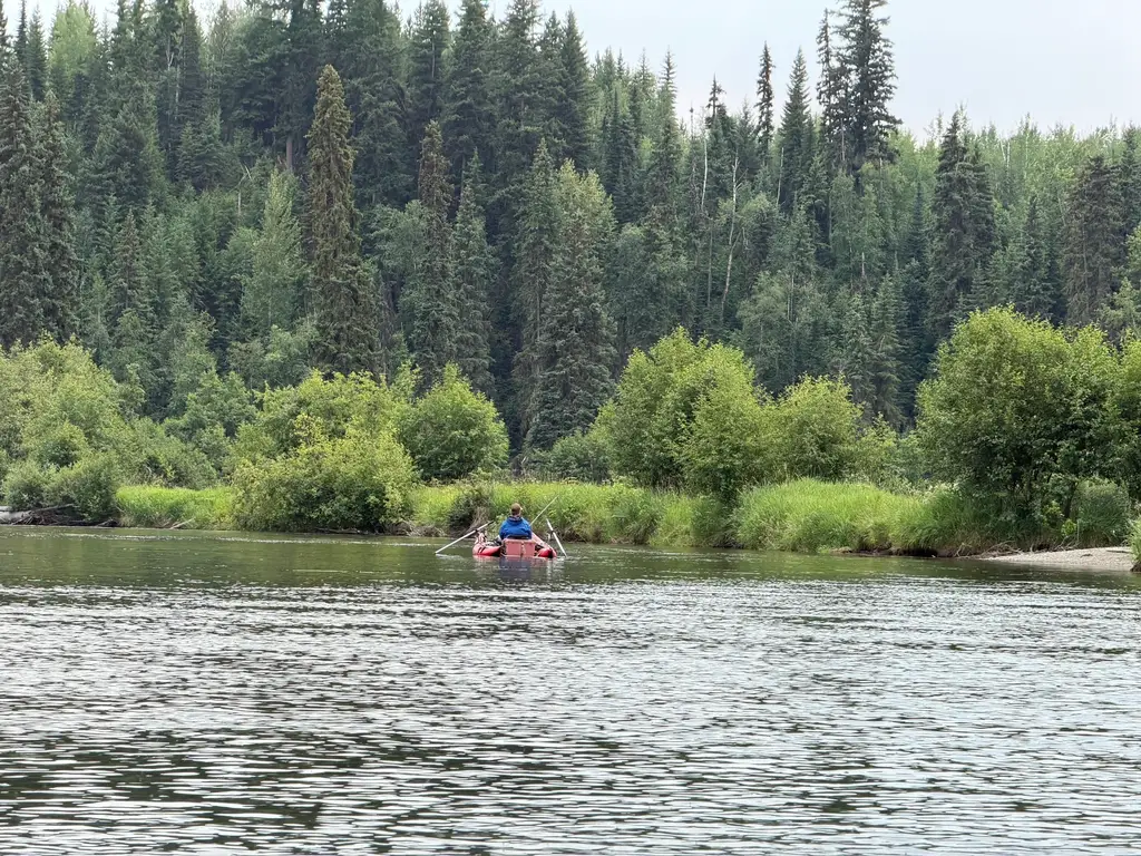 Getting near the end of the day lots of Rainbow trout released safely and enjoying the slow drift. 