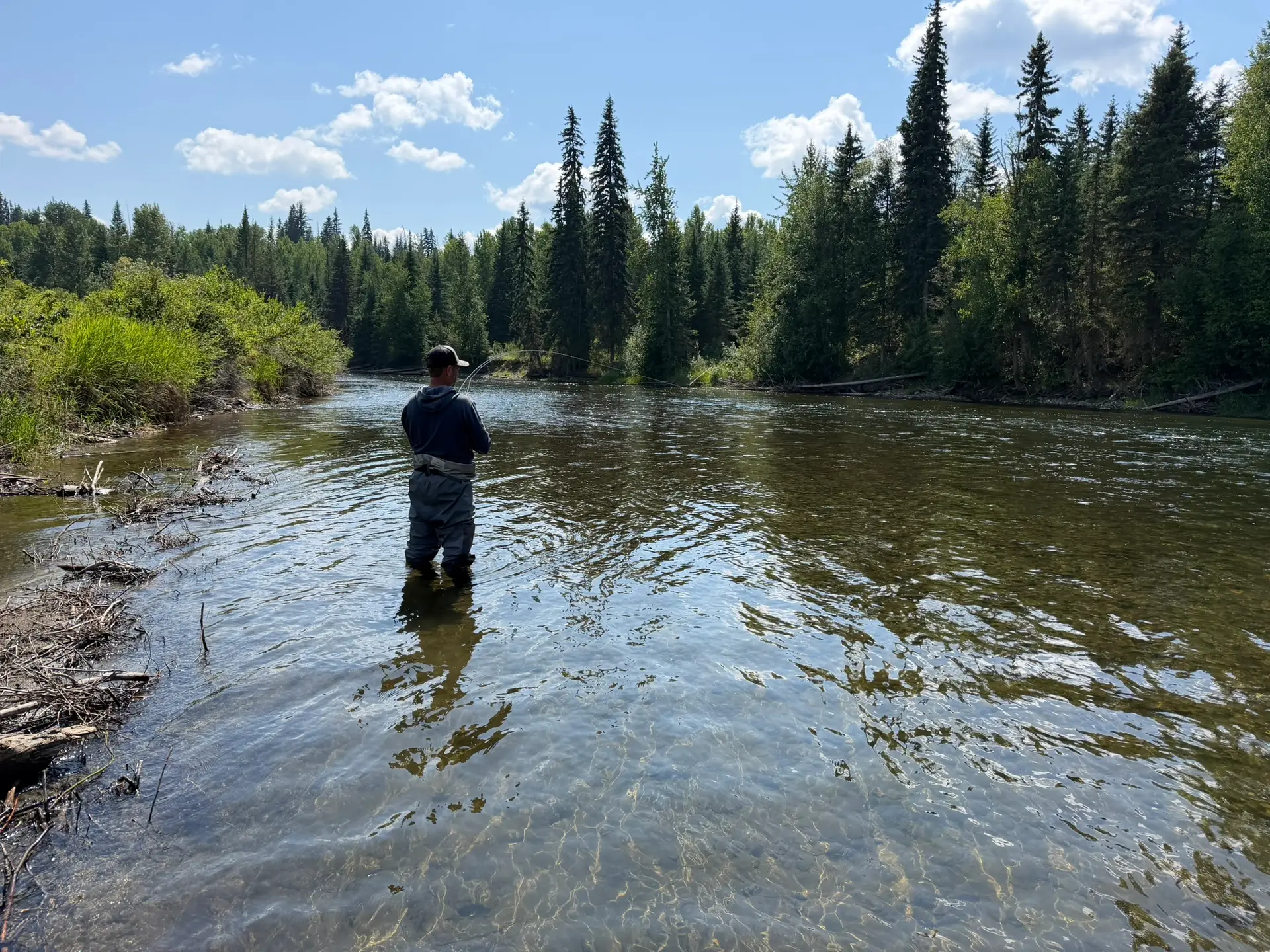 In the hot spot, the trout we actively feeding on the surface. 