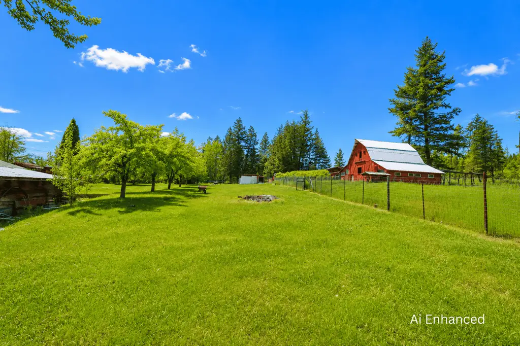 Barn and back yard